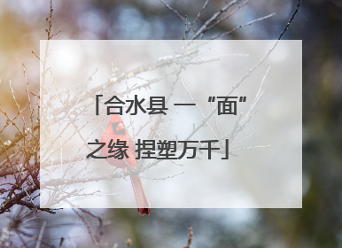 合水县 一“面”之缘 捏塑万千