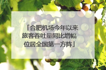 合肥机场今年以来旅客吞吐量同比增幅位居全国第一方阵