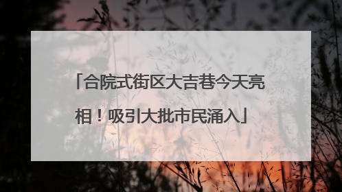 合院式街区大吉巷今天亮相！吸引大批市民涌入