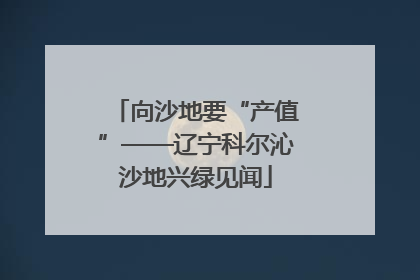 向沙地要“产值”——辽宁科尔沁沙地兴绿见闻