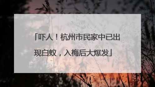吓人！杭州市民家中已出现白蚁，入梅后大爆发