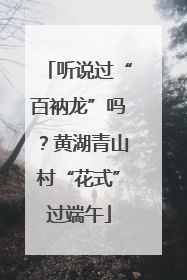 听说过“百衲龙”吗？黄湖青山村“花式”过端午