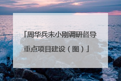 周华兵未小刚调研督导重点项目建设（图）