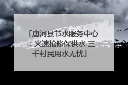 唐河县节水服务中心：火速抢修保供水 三千村民用水无忧