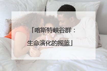 喀斯特峡谷群：生命演化的摇篮
