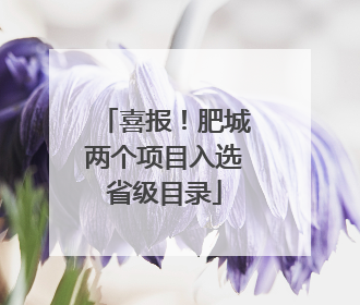喜报！肥城两个项目入选省级目录