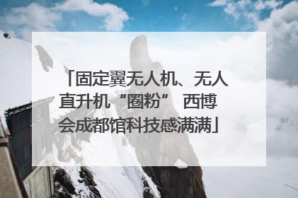 固定翼无人机、无人直升机“圈粉” 西博会成都馆科技感满满