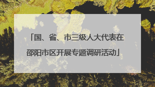 国、省、市三级人大代表在邵阳市区开展专题调研活动