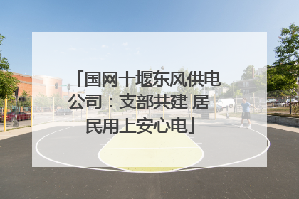国网十堰东风供电公司：支部共建 居民用上安心电