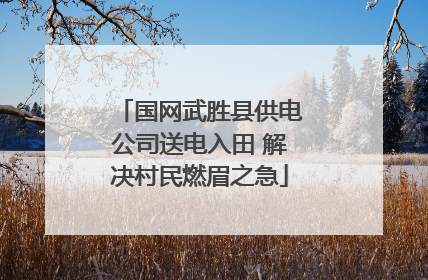 国网武胜县供电公司送电入田 解决村民燃眉之急