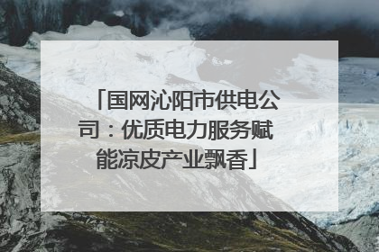 国网沁阳市供电公司：优质电力服务赋能凉皮产业飘香