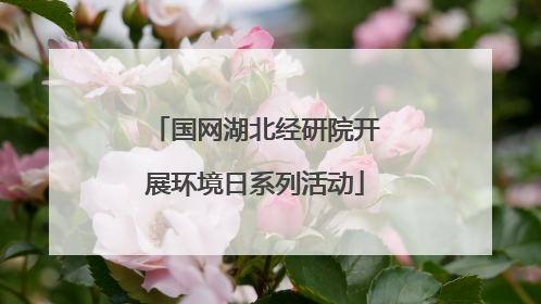 国网湖北经研院开展环境日系列活动