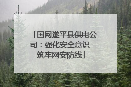 国网遂平县供电公司：强化安全意识 筑牢网安防线