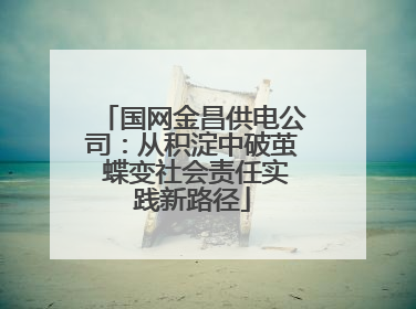 国网金昌供电公司：从积淀中破茧 蝶变社会责任实践新路径