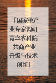 国家桃产业专家调研青岛农科院 共商产业升级与技术创新