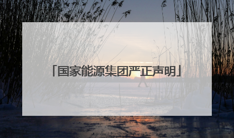 国家能源集团严正声明