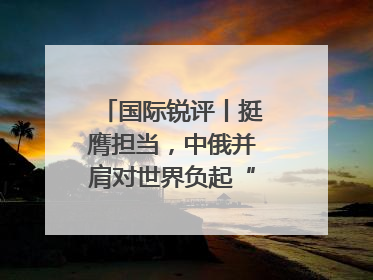 国际锐评丨挺膺担当，中俄并肩对世界负起“特殊责任”
