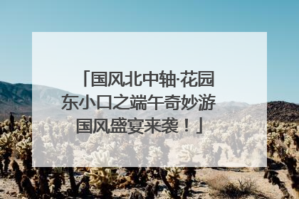 国风北中轴·花园东小口之端午奇妙游国风盛宴来袭！