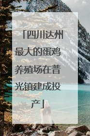 四川达州最大的蛋鸡养殖场在普光镇建成投产