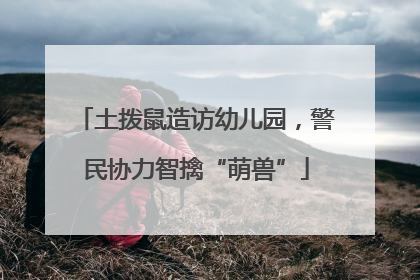 土拨鼠造访幼儿园，警民协力智擒“萌兽”