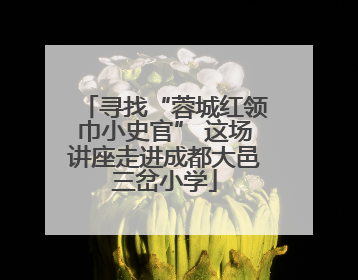 寻找“蓉城红领巾小史官” 这场讲座走进成都大邑三岔小学