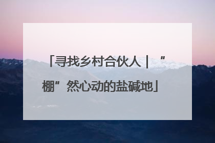 寻找乡村合伙人｜“棚”然心动的盐碱地