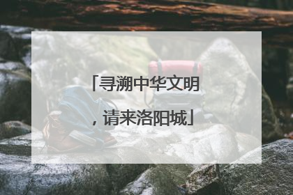寻溯中华文明，请来洛阳城