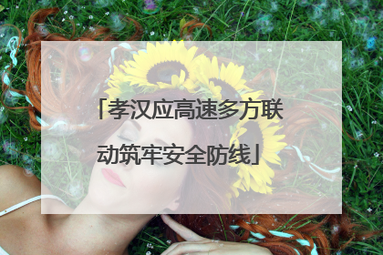 孝汉应高速多方联动筑牢安全防线