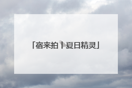 宿来拍丨夏日精灵