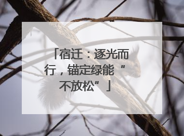 宿迁：逐光而行，锚定绿能“不放松”