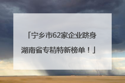 宁乡市62家企业跻身湖南省专精特新榜单！