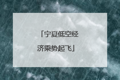 宁夏低空经济乘势起飞