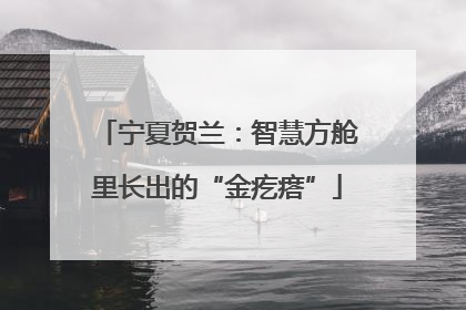 宁夏贺兰：智慧方舱里长出的“金疙瘩”