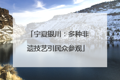 宁夏银川：多种非遗技艺引民众参观