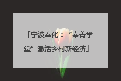 宁波奉化：“奉菁学堂”激活乡村新经济