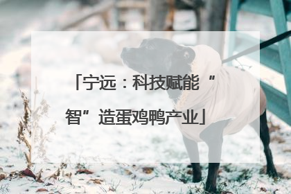 宁远：科技赋能“智”造蛋鸡鸭产业