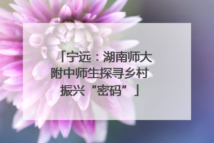 宁远：湖南师大附中师生探寻乡村振兴“密码”
