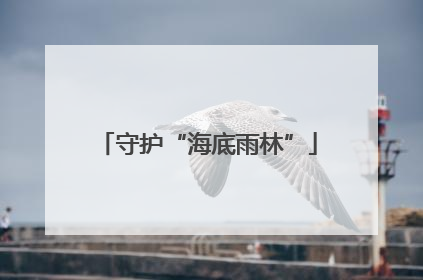 守护“海底雨林”
