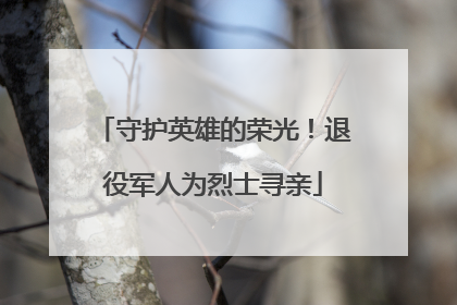 守护英雄的荣光！退役军人为烈士寻亲