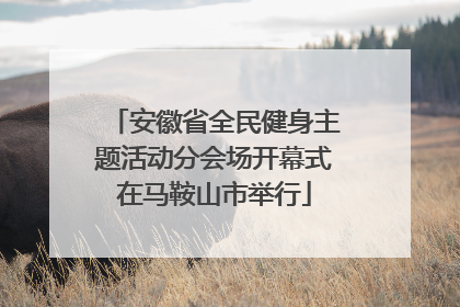 安徽省全民健身主题活动分会场开幕式在马鞍山市举行