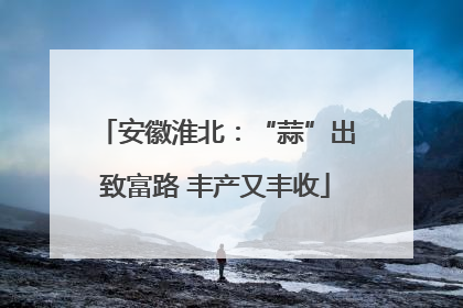 安徽淮北：“蒜”出致富路 丰产又丰收