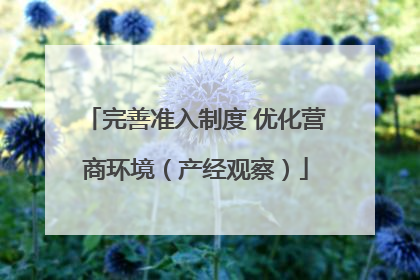完善准入制度 优化营商环境（产经观察）