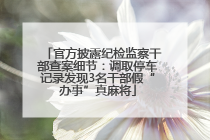 官方披露纪检监察干部查案细节：调取停车记录发现3名干部假“办事”真麻将