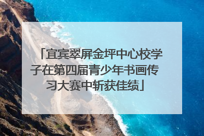 宜宾翠屏金坪中心校学子在第四届青少年书画传习大赛中斩获佳绩
