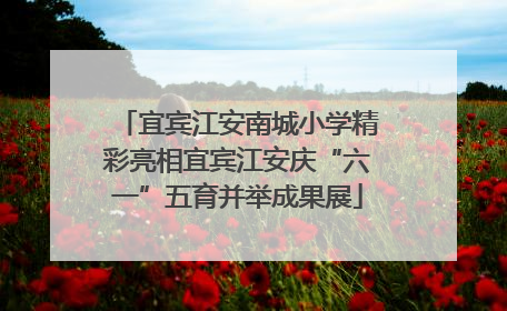 宜宾江安南城小学精彩亮相宜宾江安庆“六一”五育并举成果展