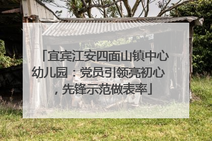 宜宾江安四面山镇中心幼儿园：党员引领亮初心，先锋示范做表率