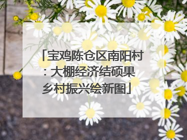宝鸡陈仓区南阳村：大棚经济结硕果 乡村振兴绘新图
