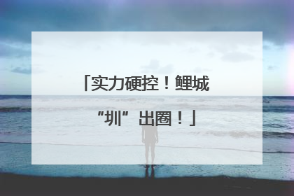 实力硬控！鲤城“圳”出圈！