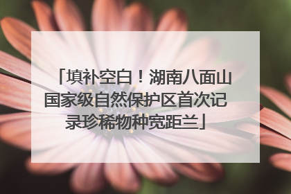 填补空白！湖南八面山国家级自然保护区首次记录珍稀物种宽距兰