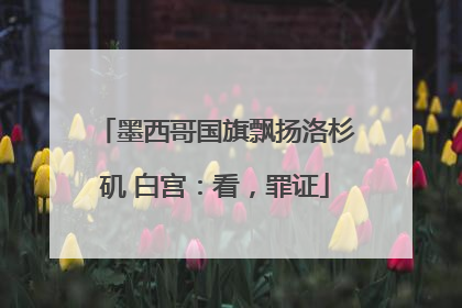 墨西哥国旗飘扬洛杉矶 白宫：看，罪证